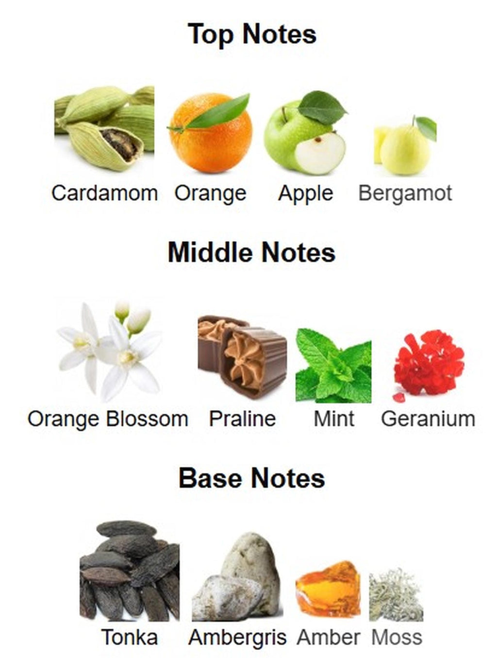 Dumont Nitro Elixir Extrait de Pafum