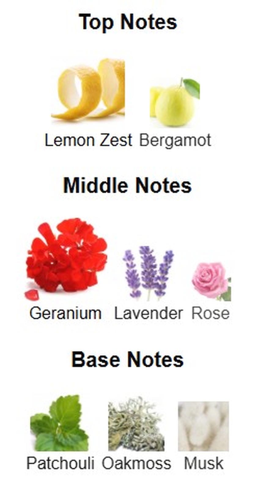 English Laundry Armour EDP