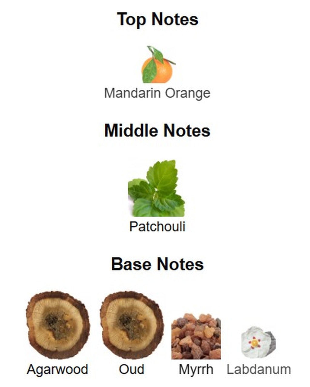 Fragrance World French Avenue Absolute Oud Magnificent 7 EDP