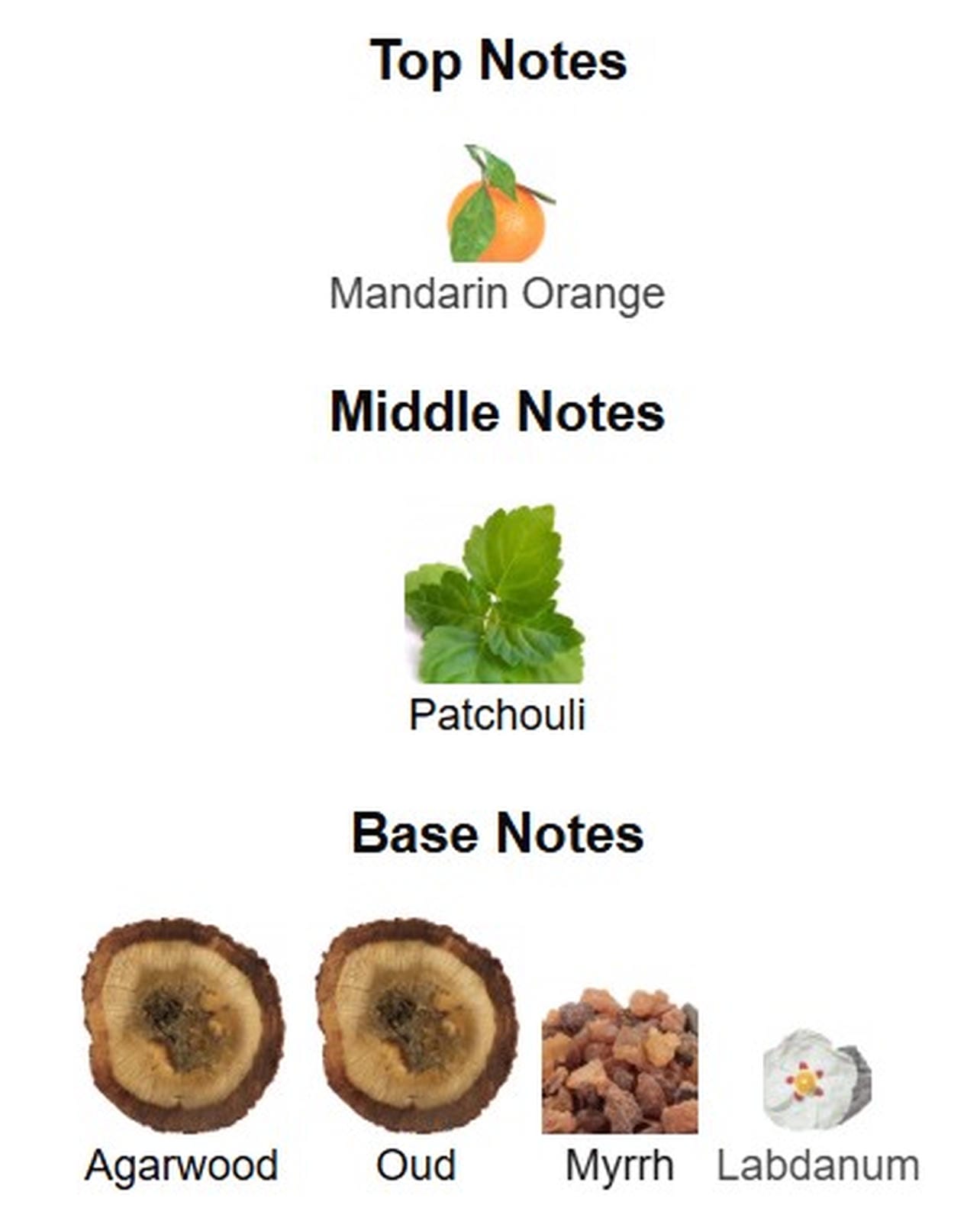 Fragrance World French Avenue Absolute Oud Magnificent 7 EDP