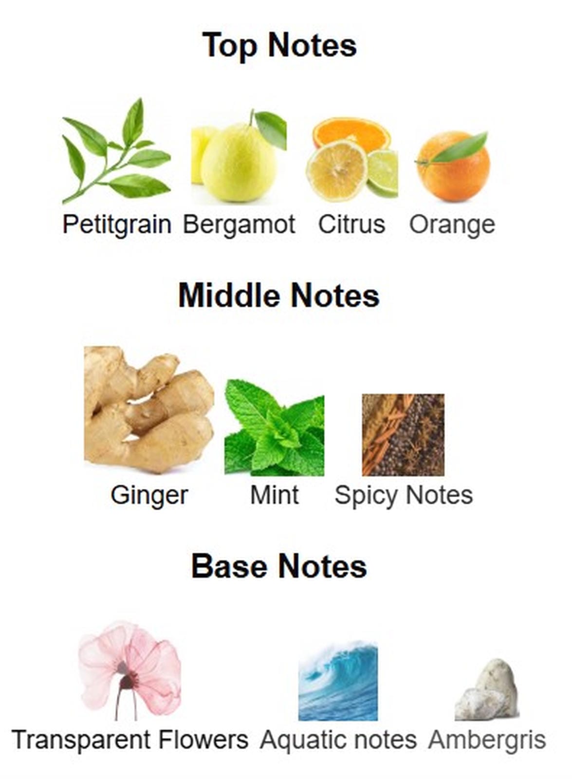 Fragrance World French Avenue Essence de Blanc EDP