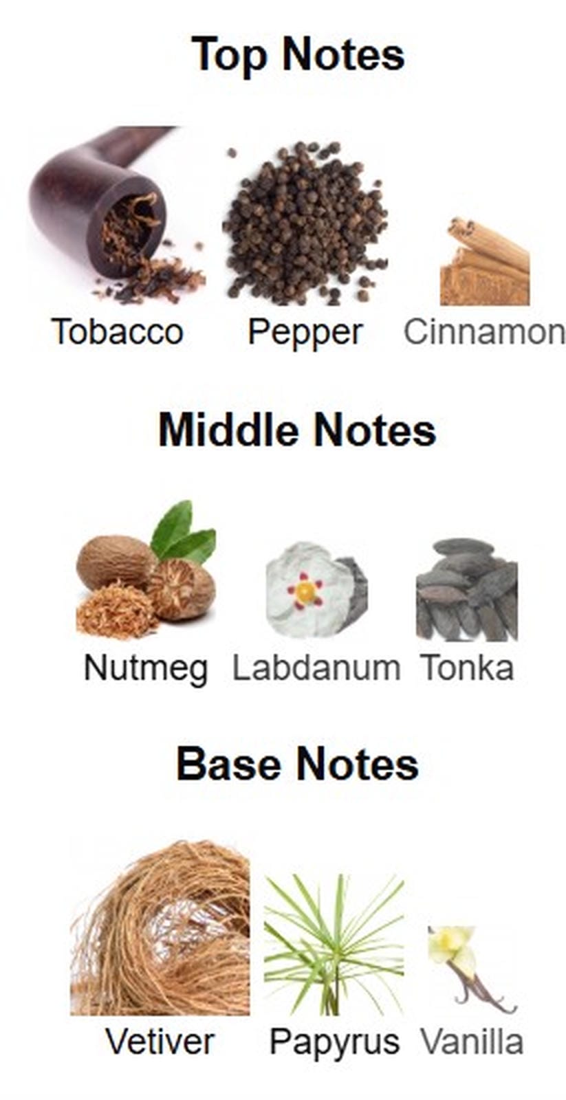 Fragrance World French Avenue Ighwa by Night EDP