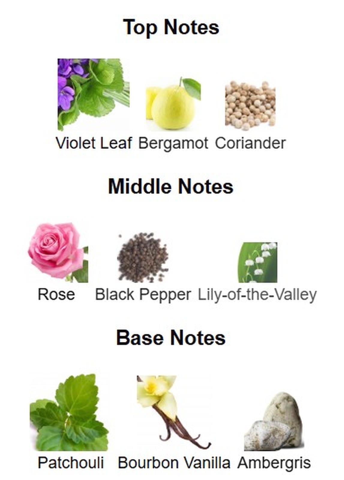 Fragrance World French Avenue Suits EDP