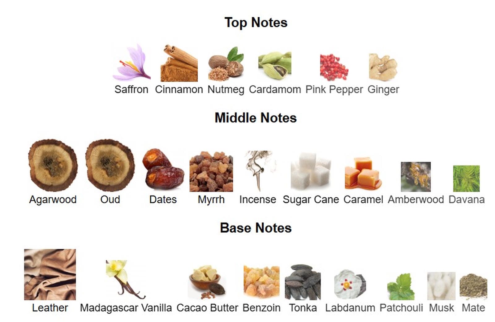 Fragrance World French Avenue Cocoa Morado EDP