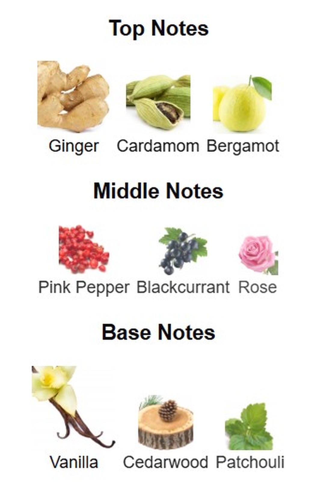 Fragrance World French Avenue Spectre Ghost EDP