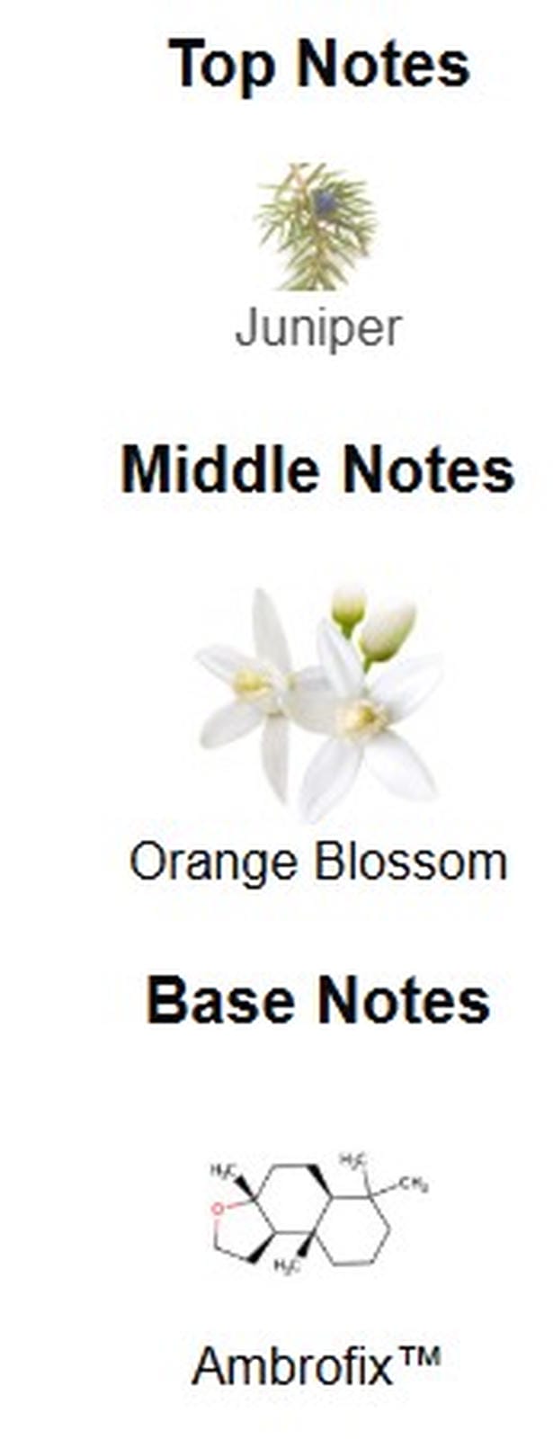 Gucci Guilty Love Edition EDP