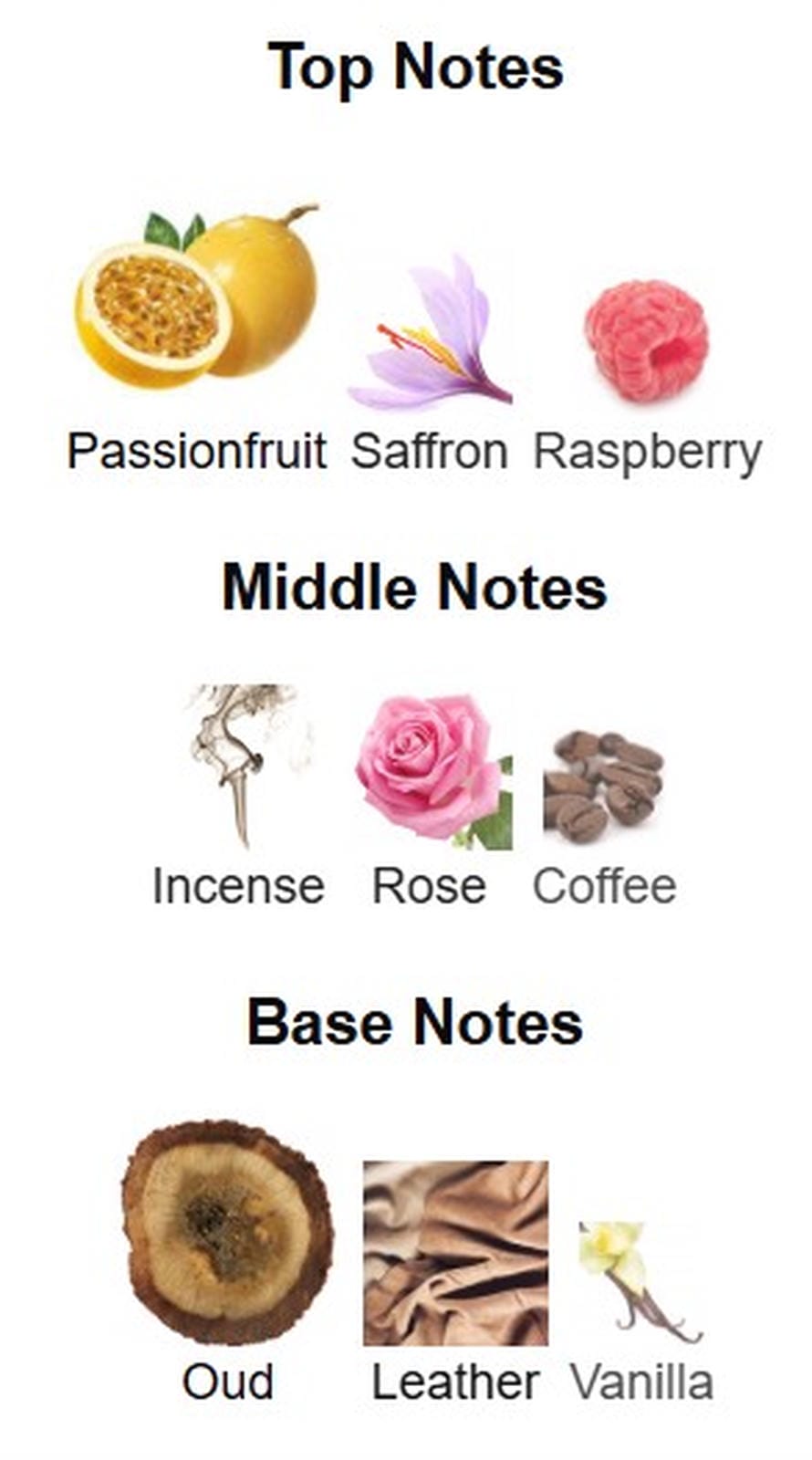 Gulf Orchid Exotic Oud EDP