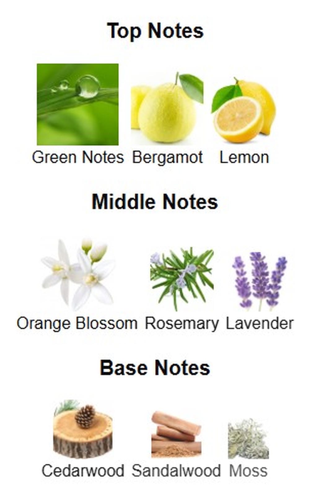 Gulf Orchid Perfection EDP