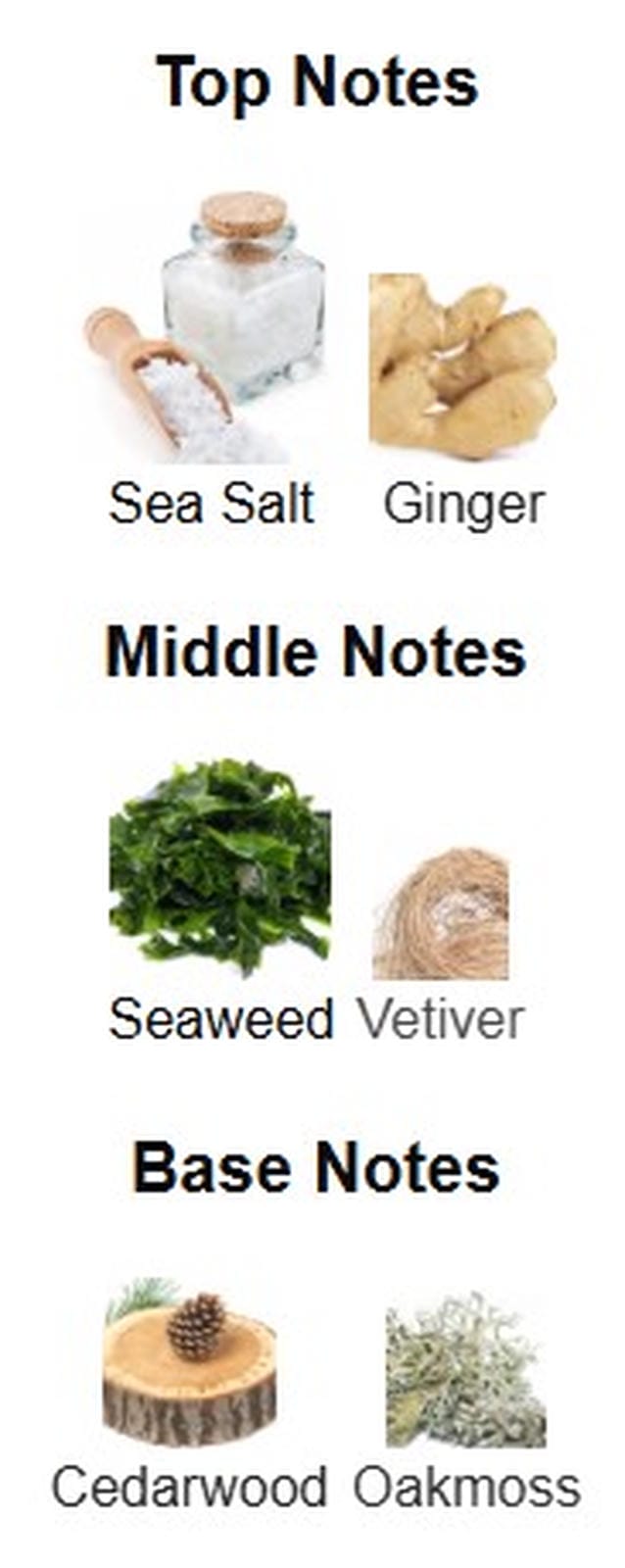 Issey Miyake Le Sel d'Issey EDT