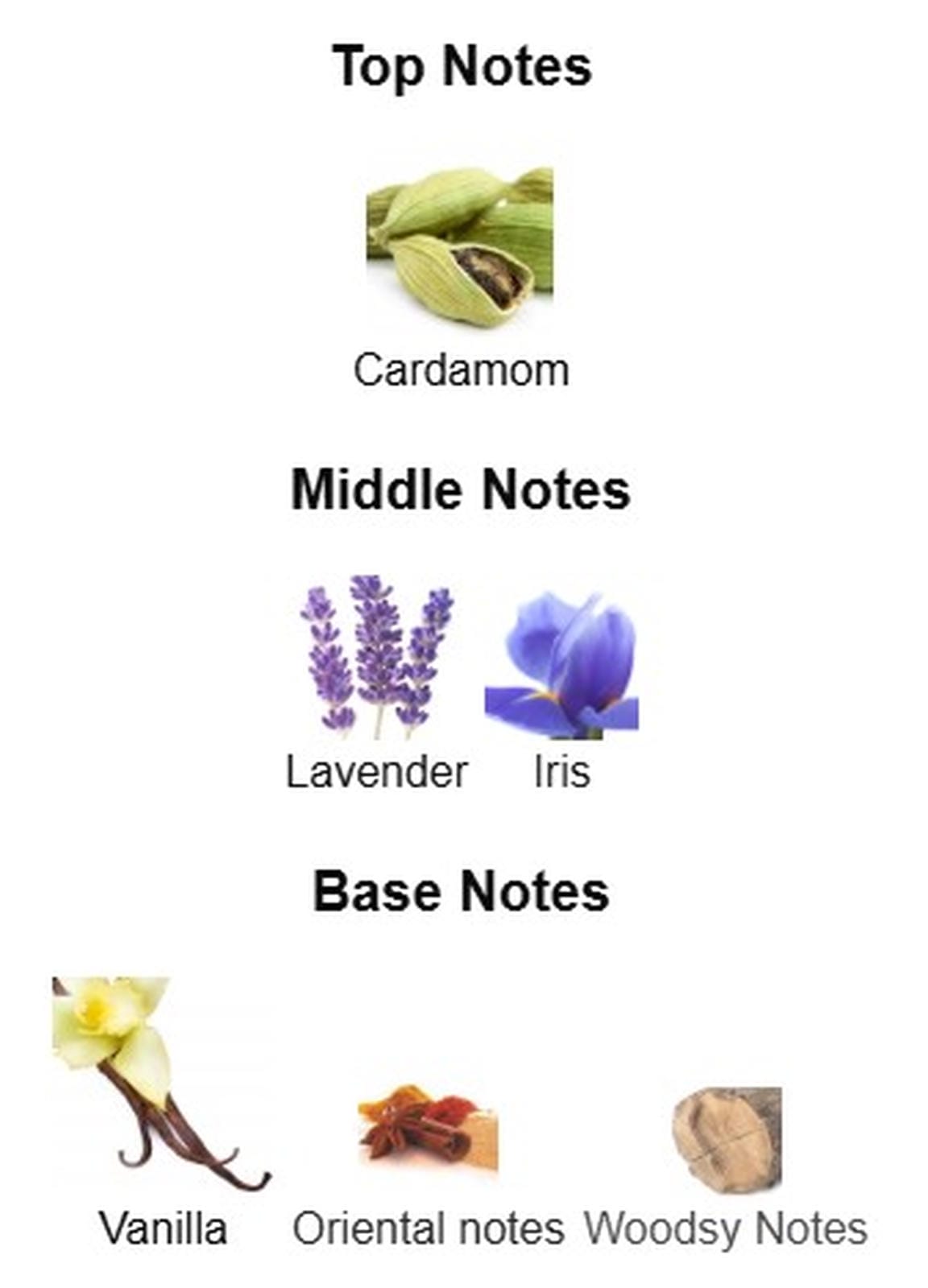 Jean Paul Gaultier Le Male Le Parfum EDP