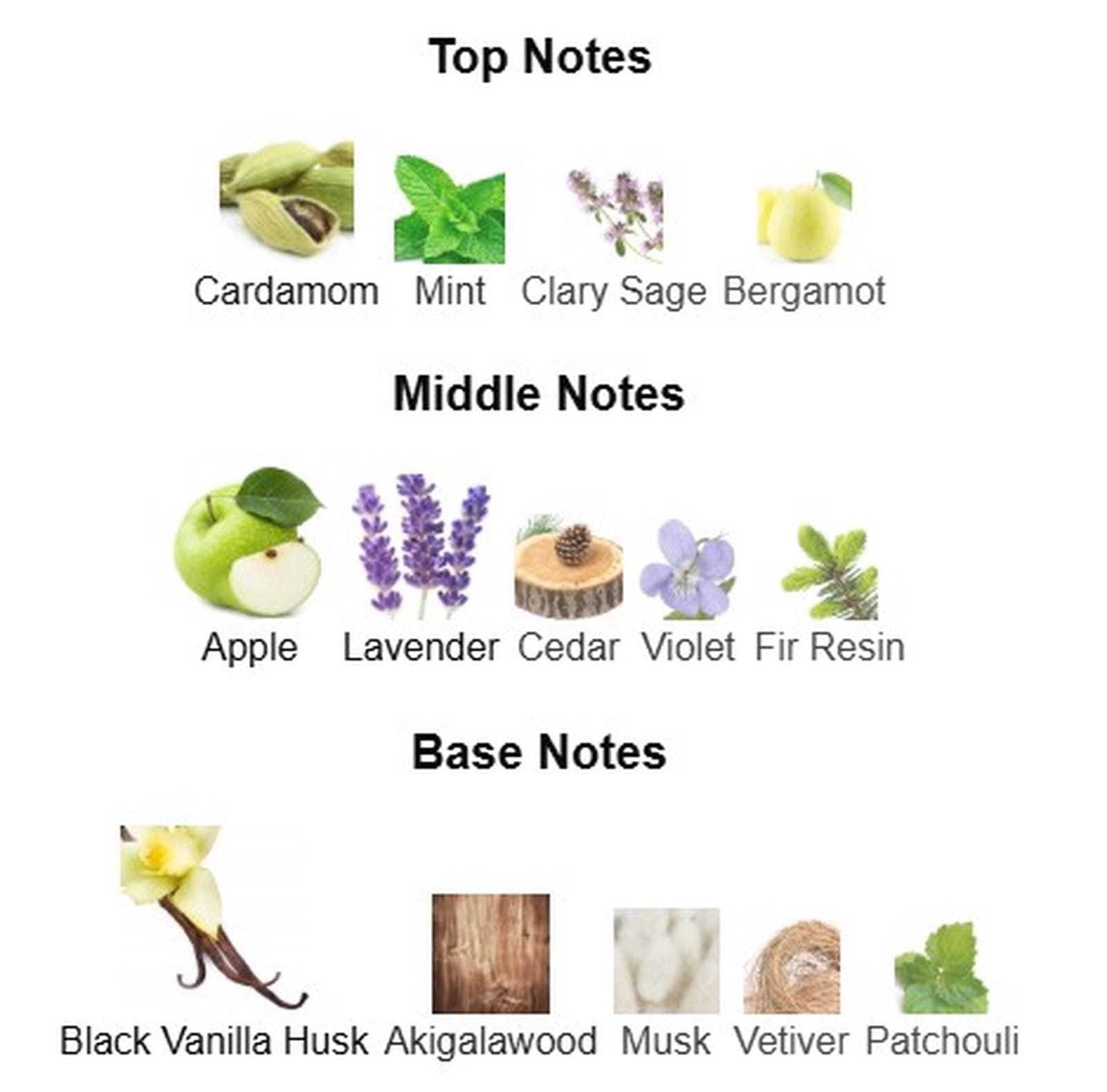 MontBlanc Legend Night EDP