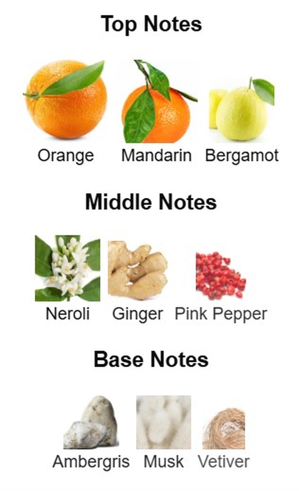 Rayhaan Adonis Icarus EDP