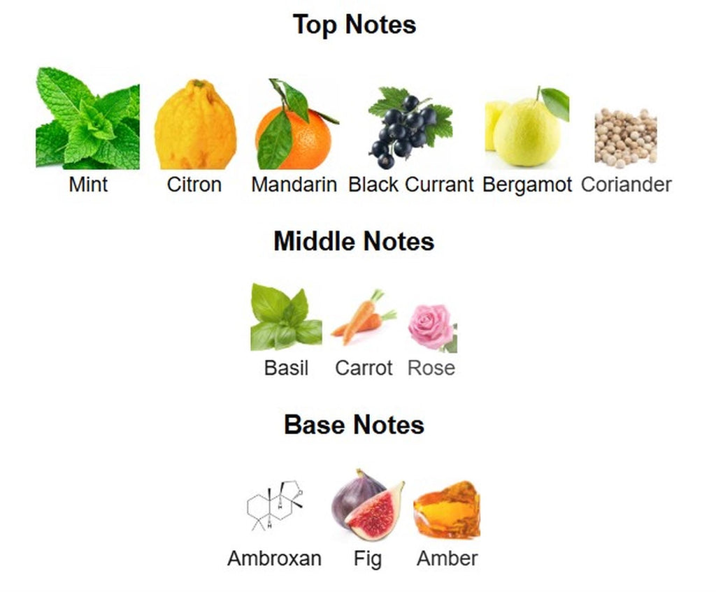 Rayhaan Pacific Aura EDP