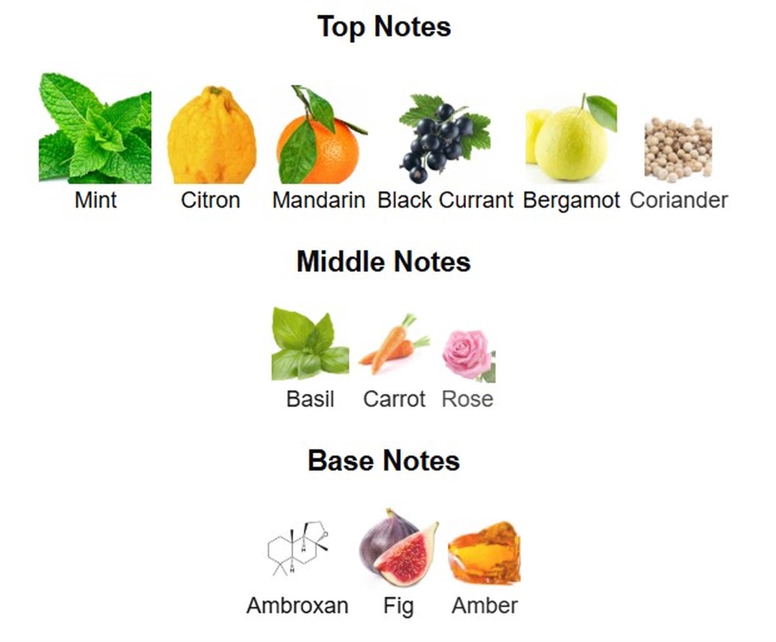 Rayhaan Pacific Aura EDP