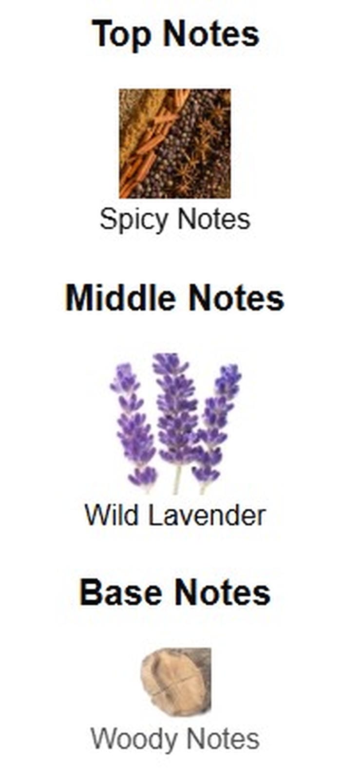 Valentino Born in Roma Extradose Parfum